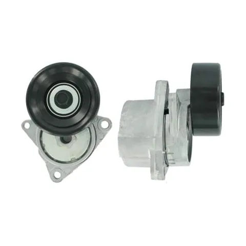 Polea POLEA DE ACCESORIOS (Renault KOLEOS) para Renault Koleos